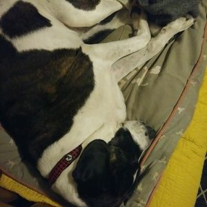 Meet your Posher, Wr